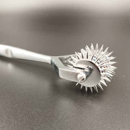 6 Wheel Wartenberg Pinwheel