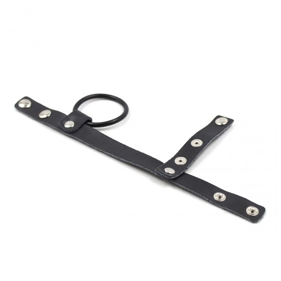 Cock Ring with Harness