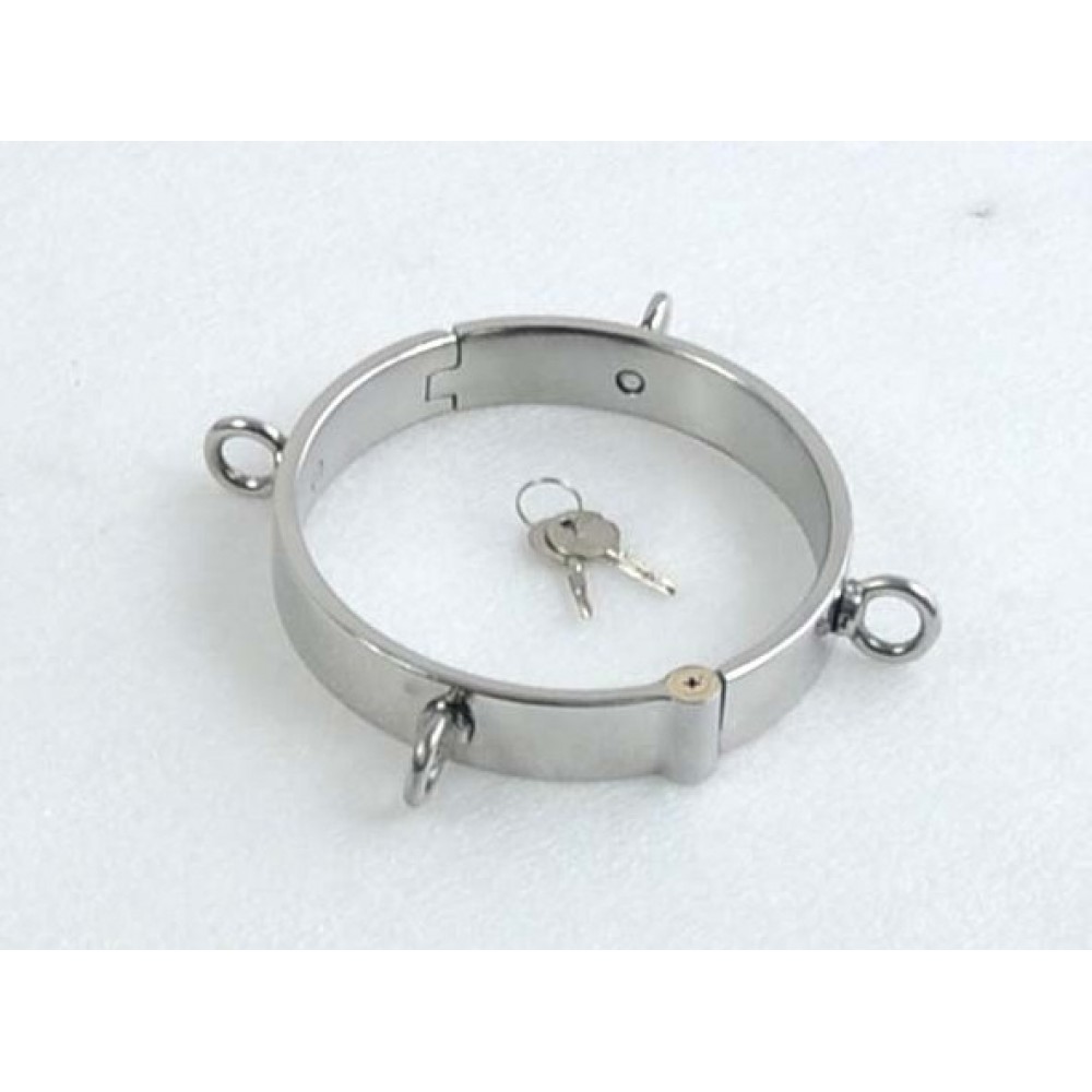 Collar With Rings (Large)